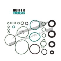 Kit riparazione Common-Rail POMPA BOSCH CP3: HOFFER 8029156 F00N201973