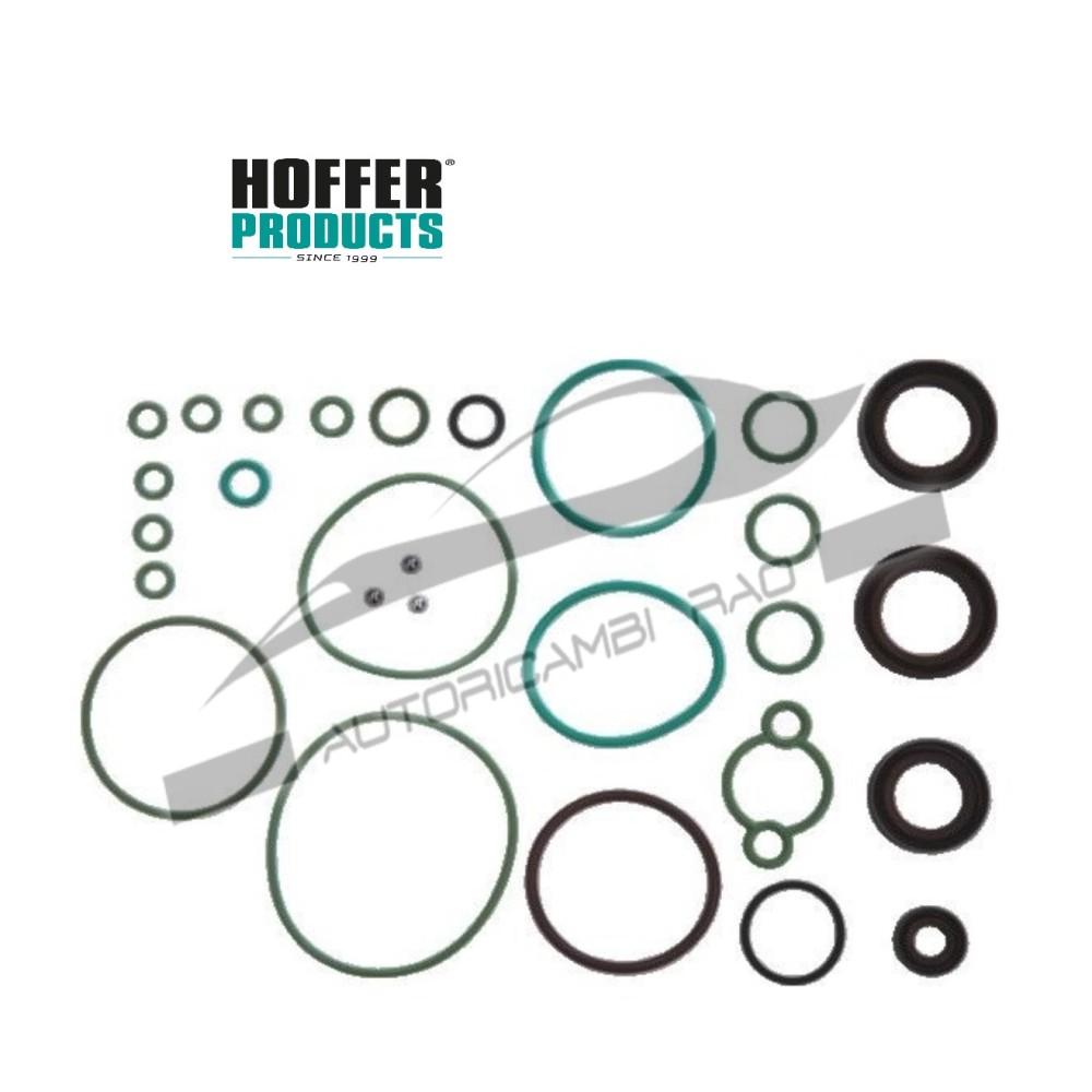 Kit riparazione Common-Rail POMPA BOSCH CP3: HOFFER 8029156 F00N201973 Kit riparazione Common-Rail POMPA BOSCH CP3: HOFFER 8029156 F00N201973