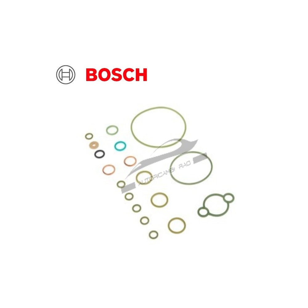Kit riparazione Common-Rail POMPA BOSCH CP3: HOFFER 8029156 F00N201973 Kit riparazione Common-Rail POMPA BOSCH CP3: HOFFER 8029156 F00N201973