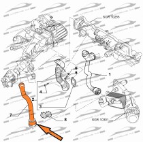 TUBO Flessibile Scambiatore calore ALFA ROMEO 159 2.0 JTDM SPIDER 2.0
