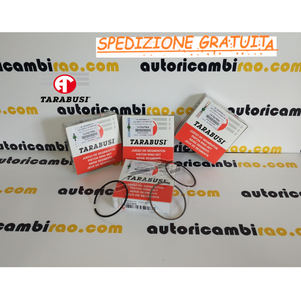 Kit serie fasce elastiche ALFA ROMEO MITO 1.3 FIAT Doblo 1.3 Panda 1.3 D