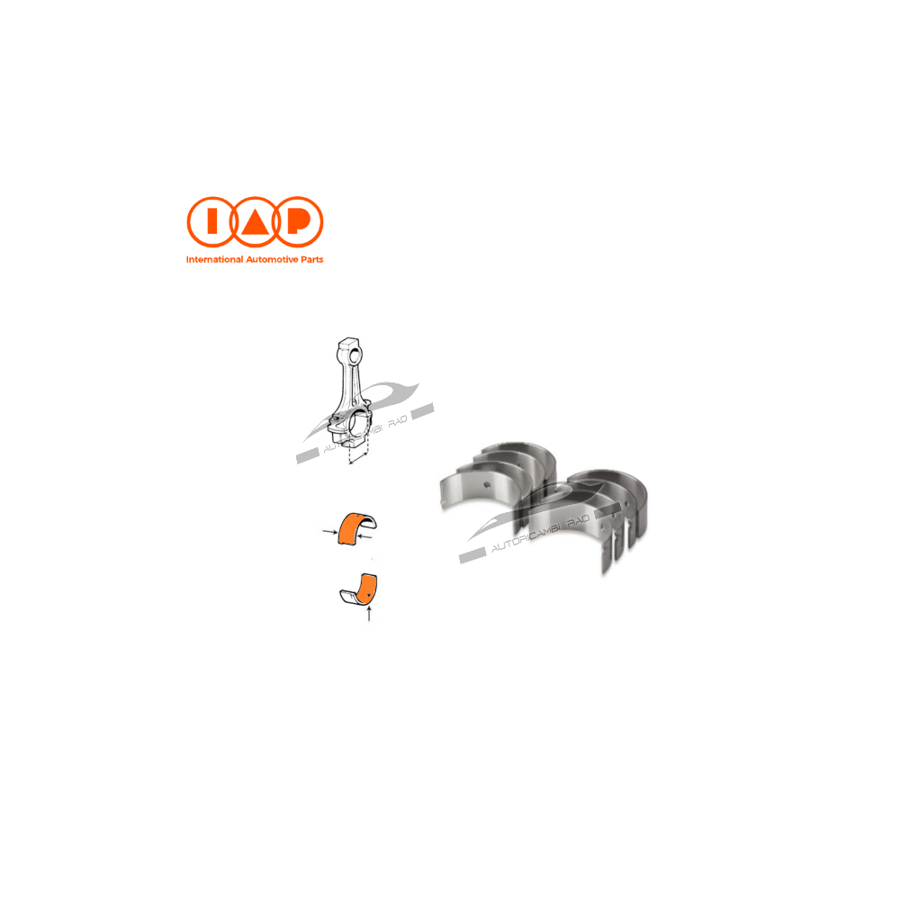 Kit serie bronzine biella maggiorazione 0,30 CITROËN Berlingo 1.9 D