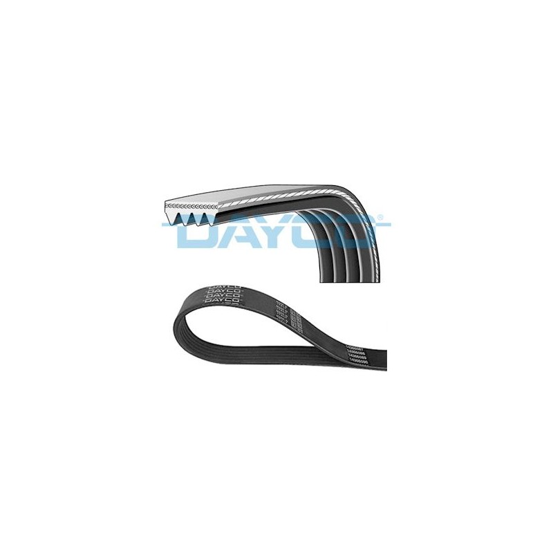 Cinghia Poly-V ELASTIC FIAT DOBLO FIORINO LINEA QUBO STRADA PUNTO EVO