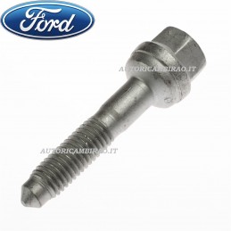 Bullone perno supporto iniettore FORD Fiesta-Fusion 1.4 TDCi 1488994