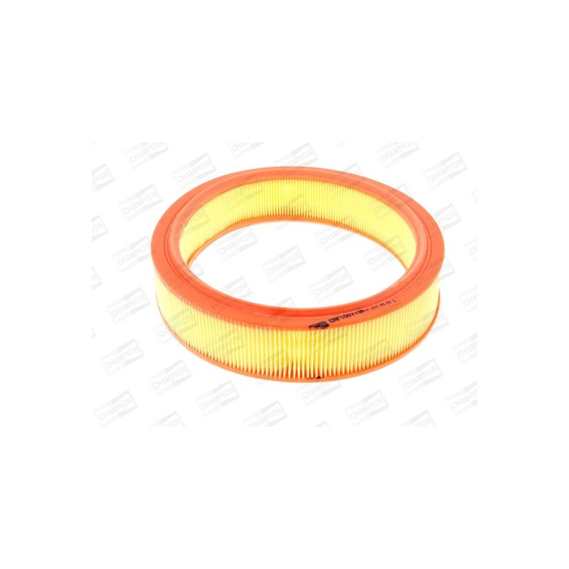 Filtro aria Fiat CHAMPION CAF100719R