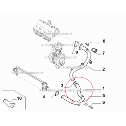 Tubo flessibile aria intercooler FIAT DOBLO 1.6 D Multijet 19181 79951