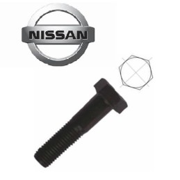 Bullone fissaggio pinza freno posteriore NISSAN CABSTAR 28.11 DCI