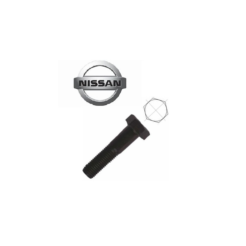 Bullone fissaggio pinza freno posteriore NISSAN CABSTAR 28.11 DCI