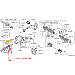 Cuscinetto differenziale posteriore NISSAN NAVARA D40 2500 dCi YD25DDTI