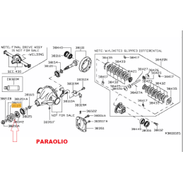 Paraolio differenziale posteriore DODGE Dakota 4.7 RAM 1500 NISSAN d40