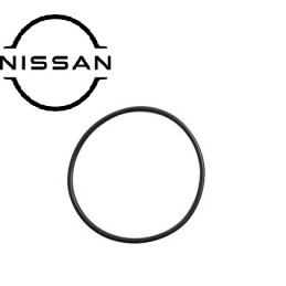 Guarnizione oring scambiatore di calore NISSAN CABSTAR F24 KING CAB