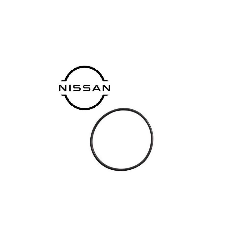 Guarnizione oring scambiatore di calore NISSAN CABSTAR F24 KING CAB