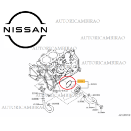 Guarnizione oring scambiatore di calore NISSAN CABSTAR F24 KING CAB