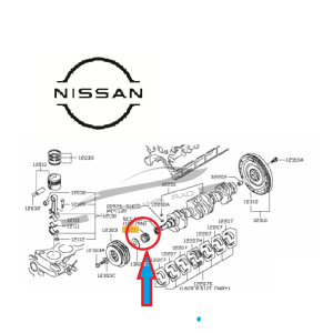 Pignone distribuzione albero motore anteriore NISSAN Patrol GR 2.8 TD