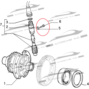 Vite blocca ingranaggio pignone velocità ALFA 145-146-147-155 FIAT