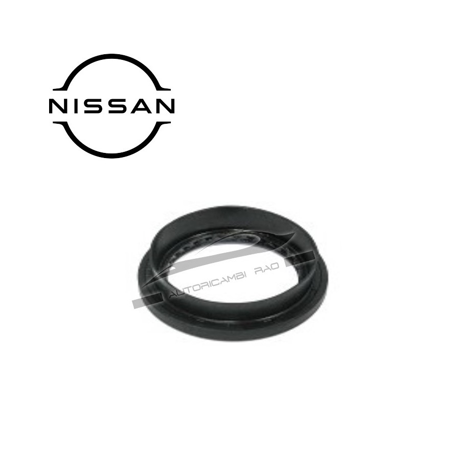 Paraolio differenziale posteriore NISSAN Cabstar TRADE 105.35, 120.35